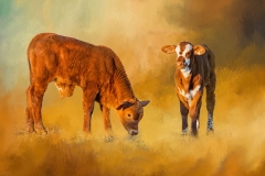 DroughtCalvesTexturesRGB