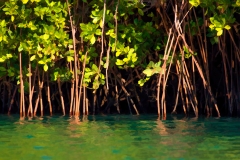 Edited89A9310