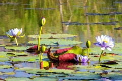 EditedART89A0190