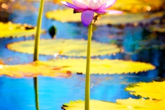 EditedART89A0932