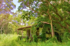 EditedHDROILUntitled_HDR2