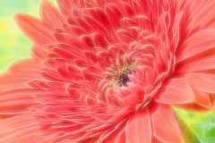 EditedTEX53A2680