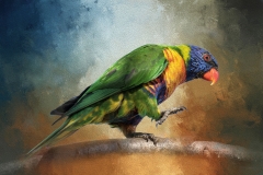 EditedtextureAOILsRGB89A3110