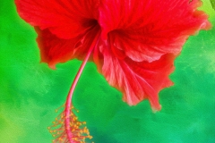 EditedtextureOILsRGB89A1412