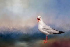 EditedtextureVINsRGB89A4762