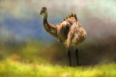 EditedtexturesRGB89A0621