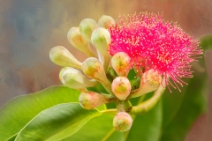 EditedtexturesRGB89A1400