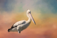 EditedtexturesRGB89A1467