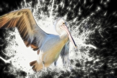 EditedtexturesRGB89A1508