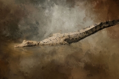 EditedtexturesRGB89A4821