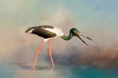 EditedtexturesRGB89A7945