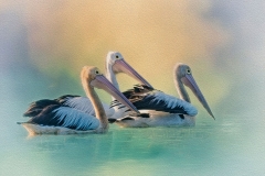 EditedtexturesRGB89A8803
