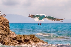 EditedMG_1274