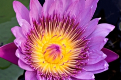 0E0A5922_v1_Crop-_1