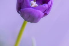 Edited53A0160