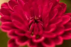 Edited53A2915