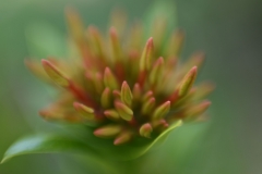 EditedDSC_6021