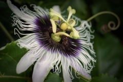EditedDSC_6402
