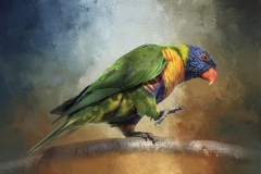 EditedtextureAOIL89A3110