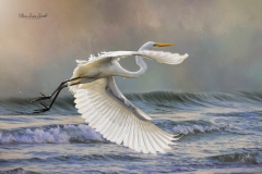 Editedtexturereduced89A3505_picc