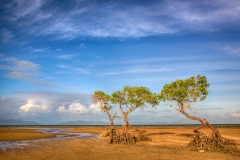 EditedHDR0E0A6572