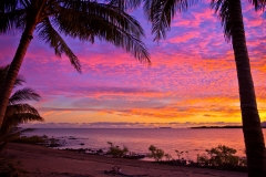 Mangroves_v7_CA-Retouch